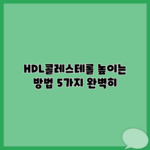HDL콜레스테롤 높이는 방법 5가지 완벽히
