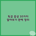독감 증상 10가지 알아보기 완벽 정리