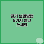 딸기 보관방법 5가지 알고 쓰세요