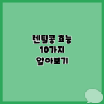 렌틸콩 효능 10가지 알아보기