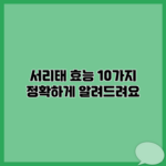 서리태 효능 10가지 정확하게 알려드려요