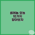 셀레늄 효능 10가지 알아보자