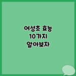 어성초 효능 10가지 알아보자