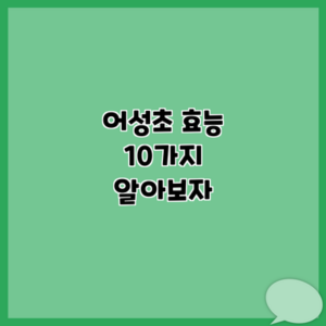 어성초 효능 10가지 알아보자