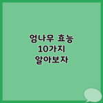엄나무 효능 10가지 알아보자