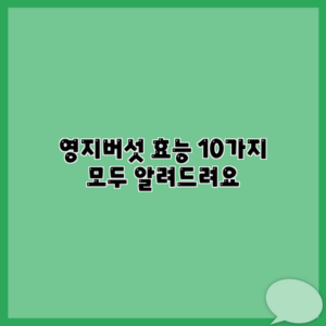영지버섯 효능 10가지 모두 알려드려요