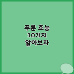 푸룬 효능 10가지 알아보자