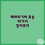 해바라기씨 효능 10가지 알아보자