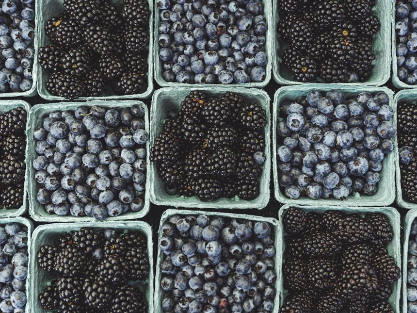 Antioxidants