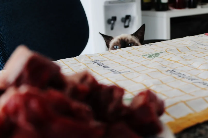 Appetite