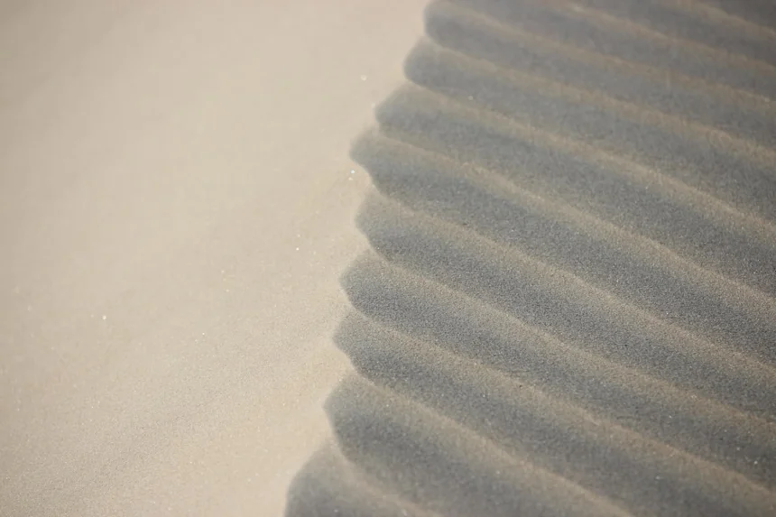 Foam roller