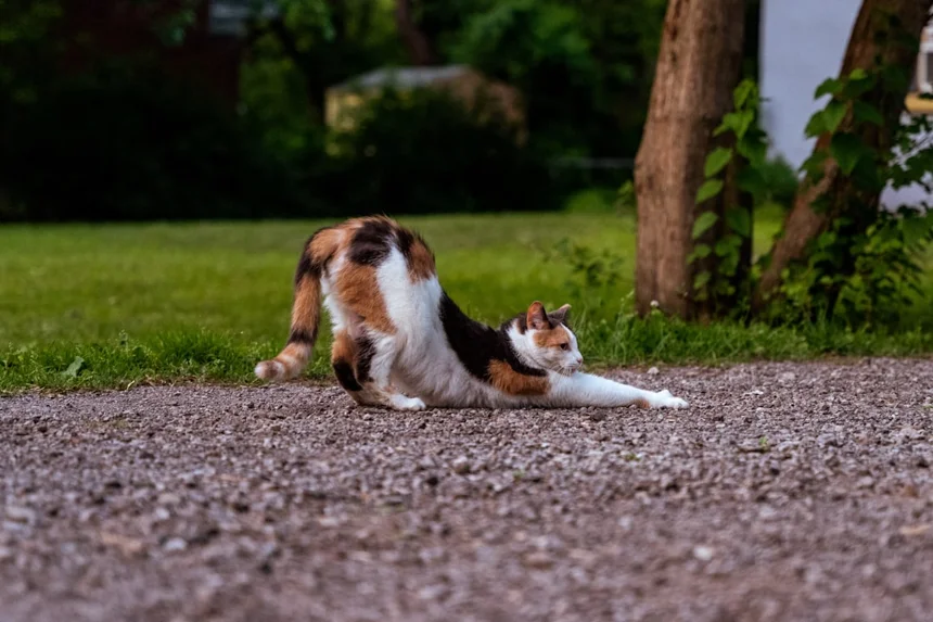 Stretching.