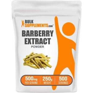 추천 인기 식사대용 스무디 10종 지금 바로 만나보세요!