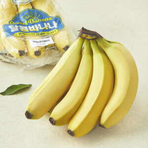 추천 곤약현미 곤약라면 10종 인기 상품 지금 바로 보기!