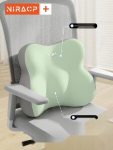 요추보호 쿠션 추천 10개 필수 구매 가이드