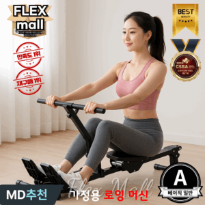 실내 로잉머신 추천 10개 인기 상품 지금 바로 확인하세요!