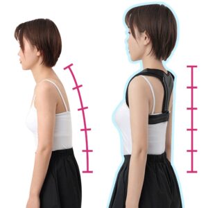 허리 스트레칭기 10종 추천 지금 필수 건강템