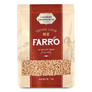 인기 곤약엔 단백질바 10종 추천 지금 바로 만나보세요!