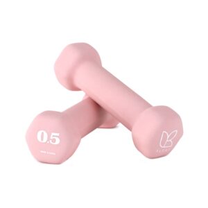 매일매일 운동할 때 필요한 아리프 선인장 미용 아령 여자 홈트 덤벨 0.5kg 솔직 리뷰