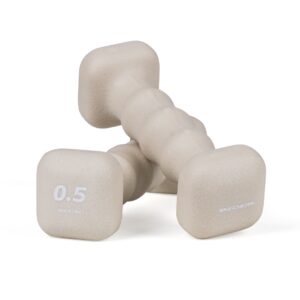 스케쳐스 미용 아령 플로우 사각 홈트 덤벨 0.5kg, 2개 가성비 비교
