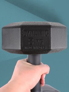아리프 국산 다이나믹 옥타곤 아령 덤벨 8kg, 2개 후기, 집에서도 꼭 필요한 운동템