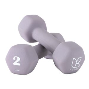아리프 선인장 미용 아령 여자 홈트 덤벨 2kg, 2개, 코튼 라일락 솔직 사용 후기