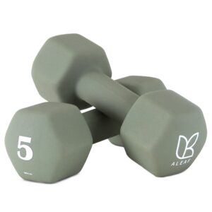 “아리프 선인장 미용 아령 여자 홈트 덤벨 5kg, 2개, 올리브 카키” 추천템, 왜 선택했을까?