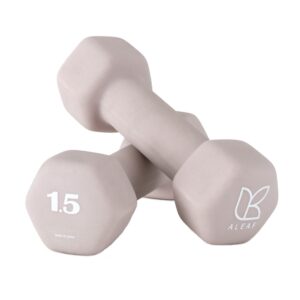 아리프 선인장 미용 아령 여자 홈트 덤벨 1.5kg, 2개, 모나코 핑크 사용 후기